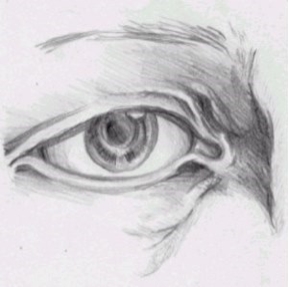 Header Image 1